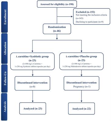 Ameliorating effects of L-carnitine and synbiotic co-supplementation on anthropometric measures and cardiometabolic traits in women with obesity: a randomized controlled clinical trial